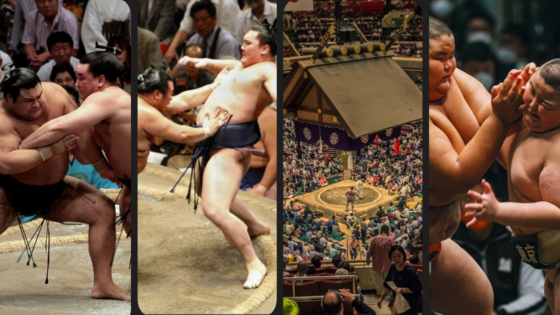 Le Sumo au Japon : Un sport de tradition, d'honneur et de puissance