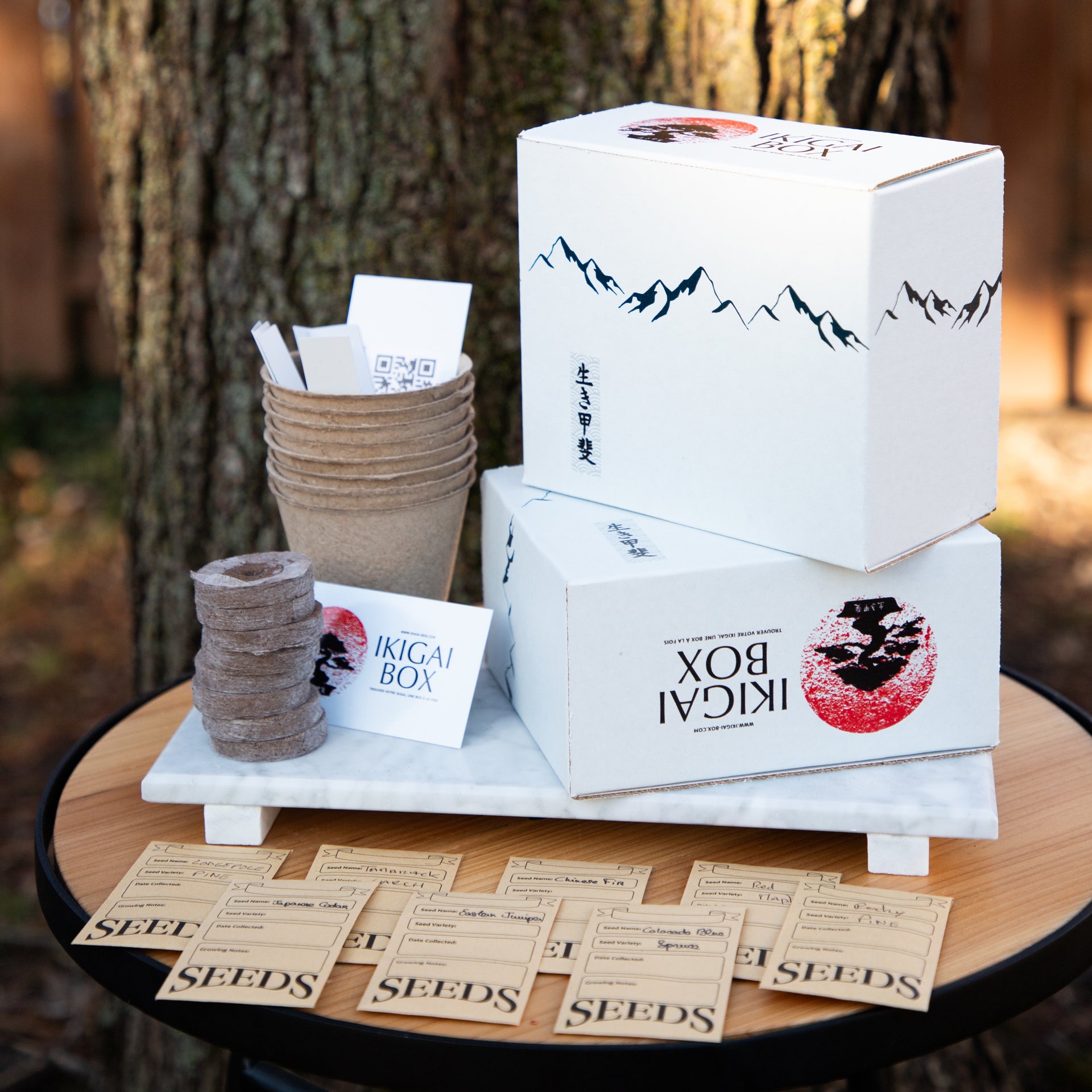 Ikigai Box | Find your ikigai, one box at a time | Bonsa Starter Kit   Ikigai-Box