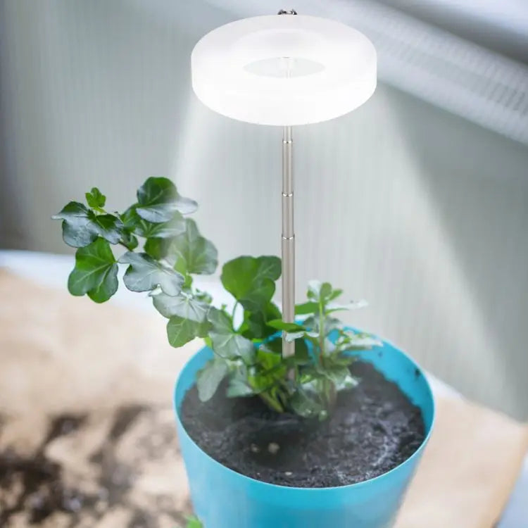 Lampe de croissance pour plantes et bonsaïs avec la technologie LED par ikigai box avec durée et intensité personnalisable. Livraison offerte au Canada et États-Unis