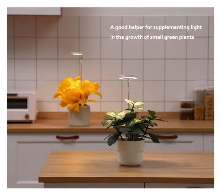 Lampe de croissance pour plantes et bonsaïs avec la technologie LED par ikigai box avec durée et intensité personnalisable. Livraison offerte au Canada et États-Unis