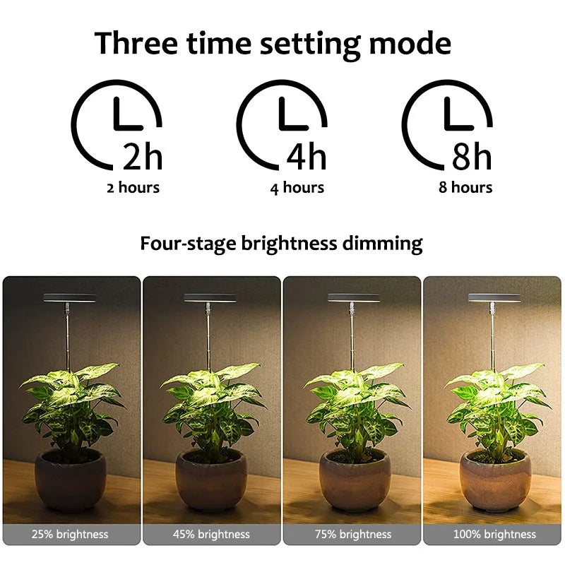 Lampe de croissance pour plantes et bonsaïs avec la technologie LED par ikigai box avec durée et intensité personnalisable. Livraison offerte au Canada et États-Unis